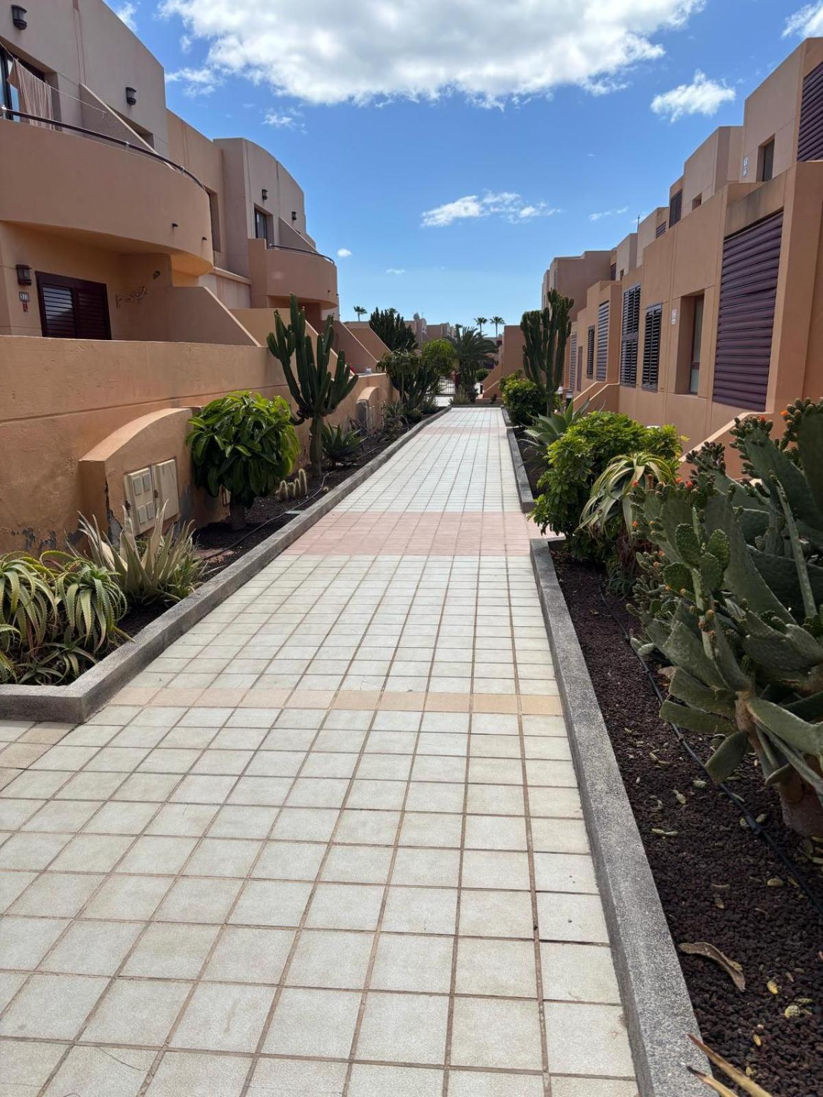Elisabeth Apartmant Caleta De Fuste Dış mekan fotoğraf