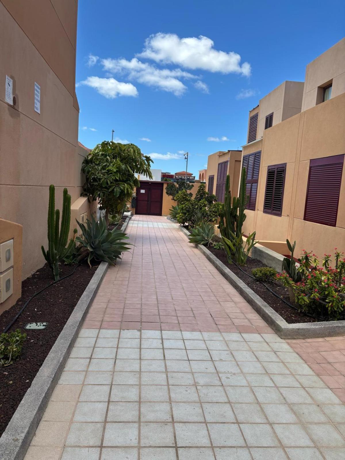 Elisabeth Apartmant Caleta De Fuste Dış mekan fotoğraf